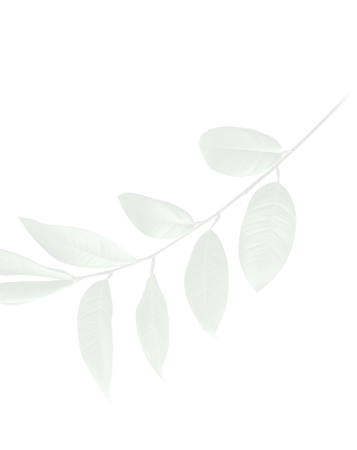 leaf-img