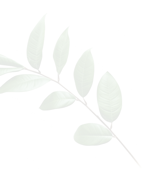 leaf-img