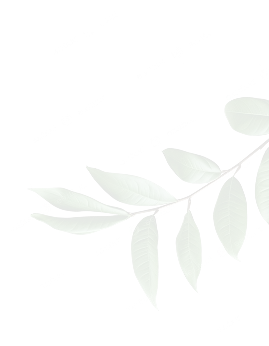 leaf-img